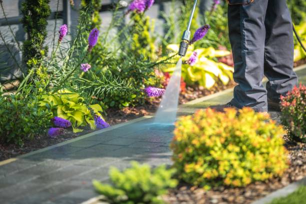 Best Fence Cleaning  in La Plata, MO