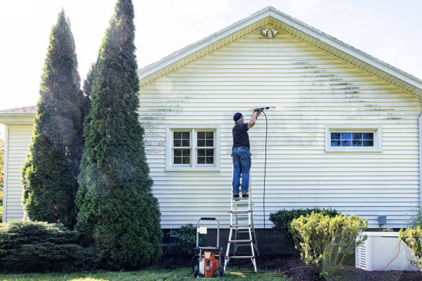 Best Restaurant Pressure Washing  in La Plata, MO